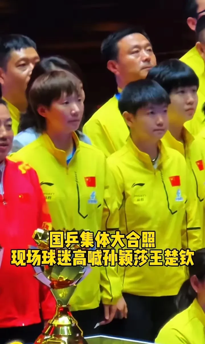 关于羽毛球队战胜劲敌孙颖莎，晋级之路畅通无阻的信息
